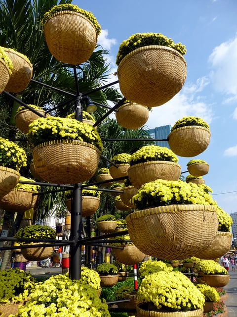 Baskets with yellow flowers