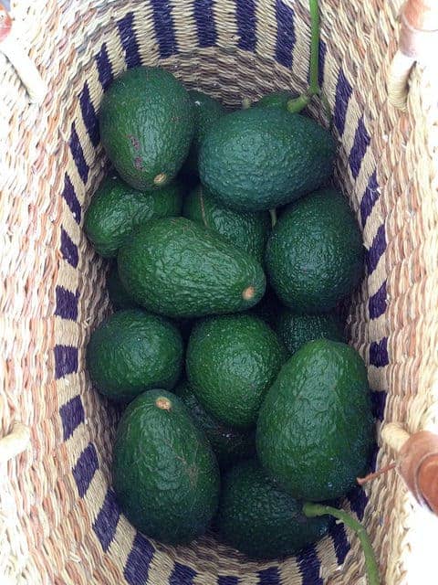 I love the Brag Basket!
