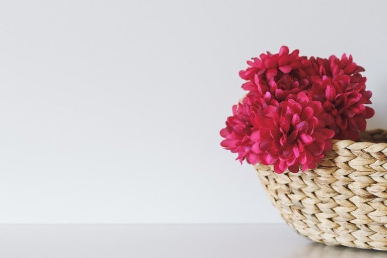 Your good news brings color to the Brag Basket