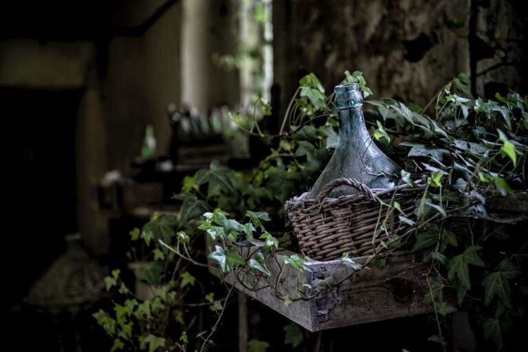 Basket-covered wine jug surrounded by vines