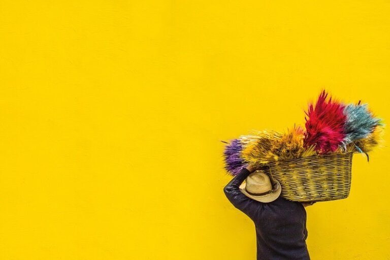 Are you too yellow for the Brag Basket?