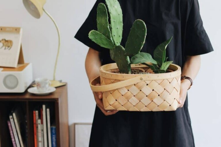 The unexpected is welcome in the Brag Basket