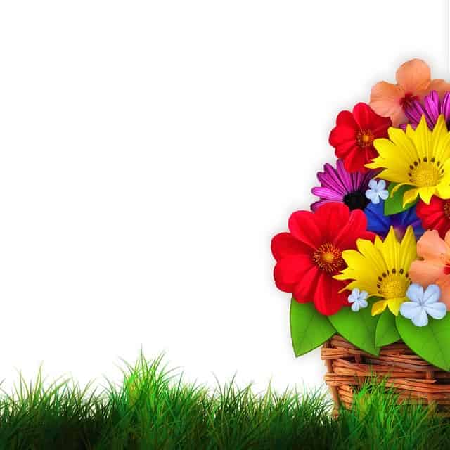 Illustration of a basket of flowers
