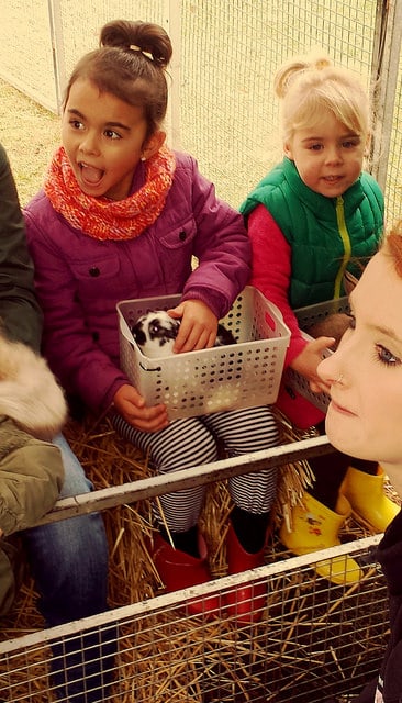 Girls with a baby animal in a basket at an animal farm