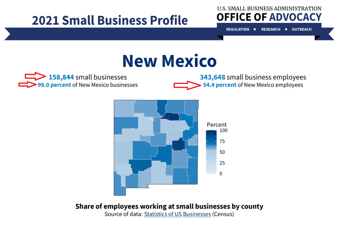 Small Business Profile example for New Mexico 